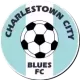 Logo Charleston City Blues